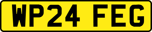 WP24FEG