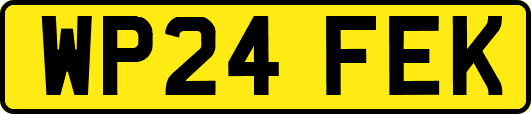 WP24FEK