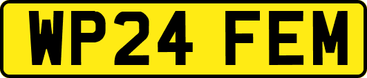 WP24FEM