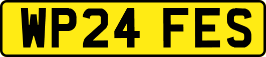 WP24FES