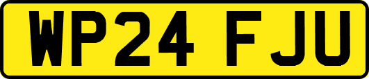 WP24FJU