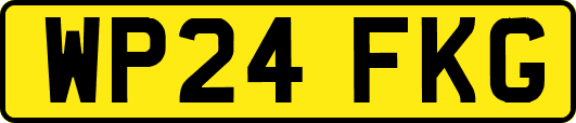 WP24FKG