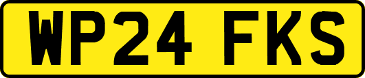 WP24FKS