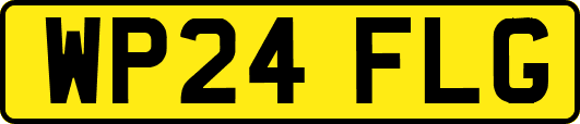 WP24FLG