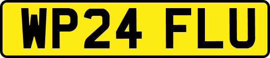 WP24FLU