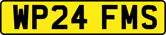 WP24FMS