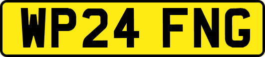 WP24FNG
