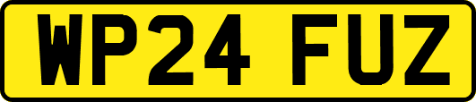 WP24FUZ