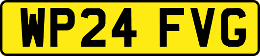 WP24FVG