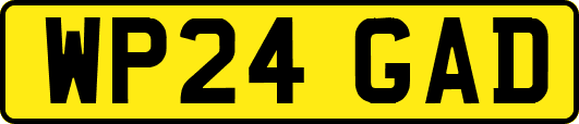 WP24GAD