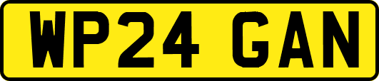 WP24GAN