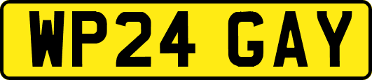 WP24GAY