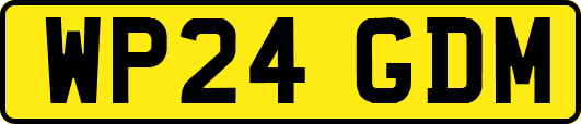 WP24GDM