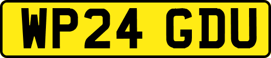 WP24GDU