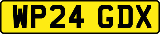 WP24GDX