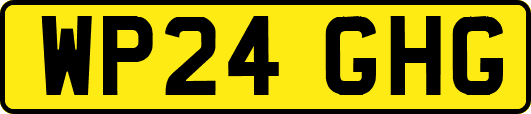WP24GHG
