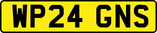 WP24GNS