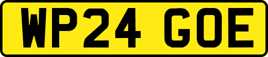 WP24GOE