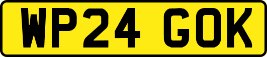WP24GOK