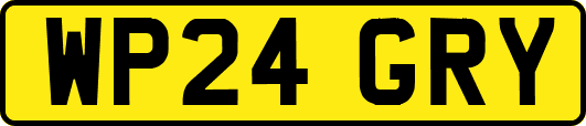 WP24GRY