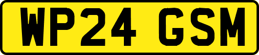 WP24GSM