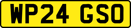 WP24GSO