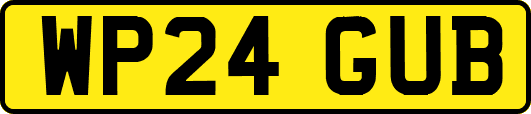 WP24GUB