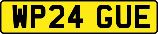 WP24GUE