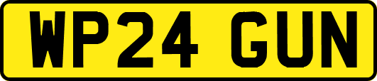 WP24GUN