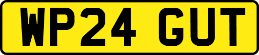 WP24GUT