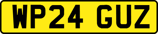 WP24GUZ