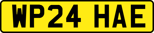 WP24HAE