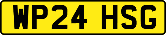 WP24HSG