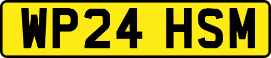 WP24HSM