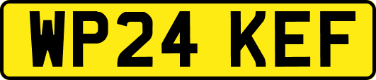 WP24KEF