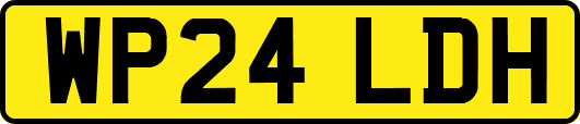 WP24LDH
