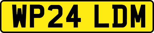 WP24LDM