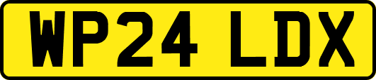 WP24LDX