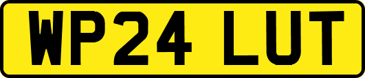 WP24LUT