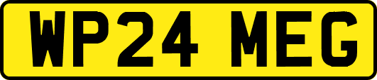 WP24MEG