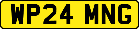WP24MNG