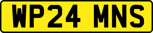 WP24MNS