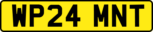 WP24MNT