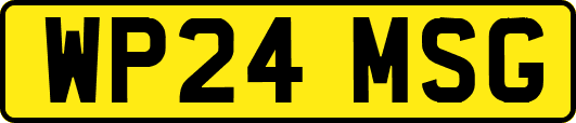 WP24MSG