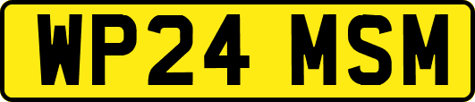 WP24MSM