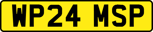WP24MSP