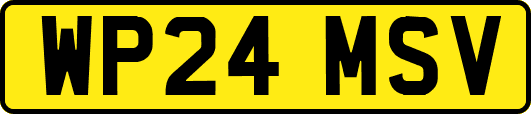 WP24MSV