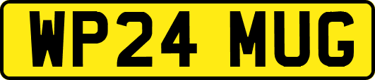 WP24MUG