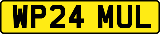 WP24MUL