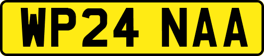 WP24NAA